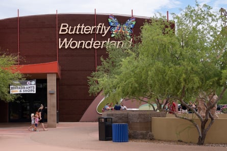 Butterfly_Wonderland_Scottsdale_Arizona