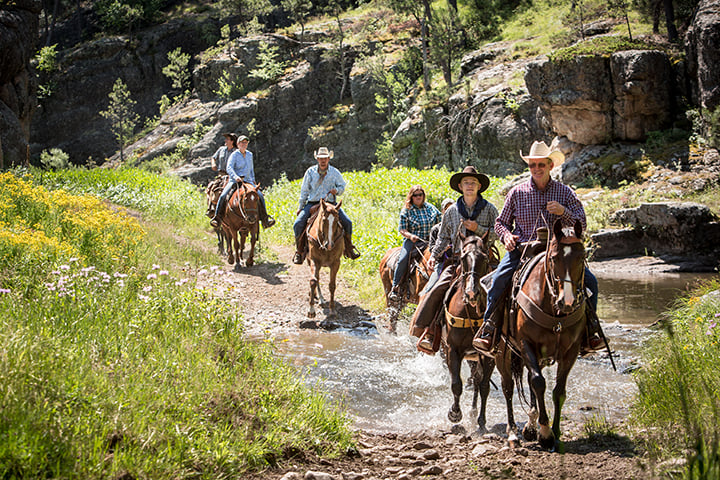 Explore The Beauty Of Flagstaff With Arizona Shuttle.