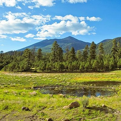 How Far is Flagstaff from Phoenix