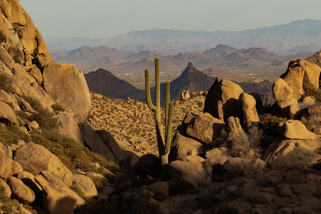 McDowell Sonoran Preserve