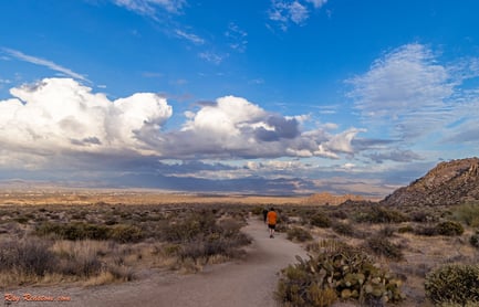 People_Hiking_On_A_Desert_Trail_In_Scottsdale,_Arizona