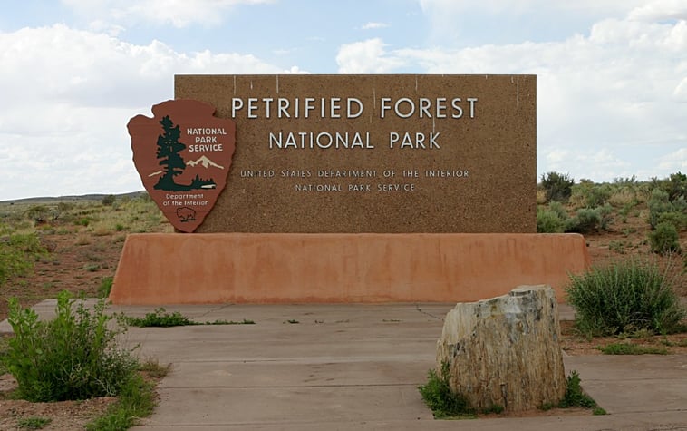 Petrified Forest National Park - Is The Largest Depository Of Petrified Wood