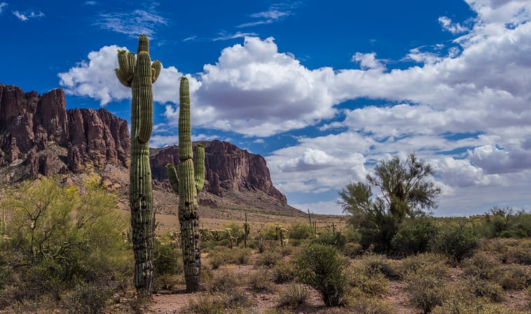 Take Your Plans On The Road Through The Apache Trail With The Arizona Shuttle