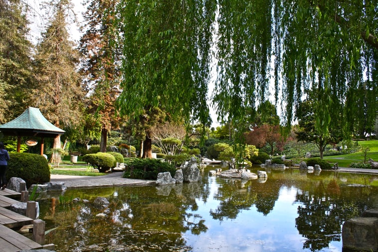 The Japanese Friendship Garden Of Phoenix With Arizona Shuttle