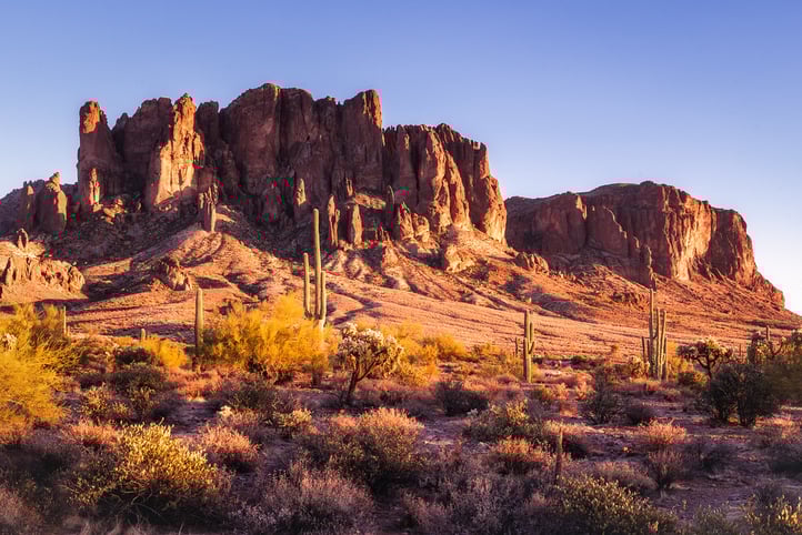 Discover Arizona's Wild West