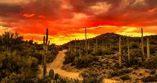 Desert Dreams: Unveiling Arizona's Enchanting Landscapes With Arizona 