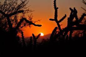 Mejores Puntos para Ver el Amanecer en Phoenix con Arizona Shuttle