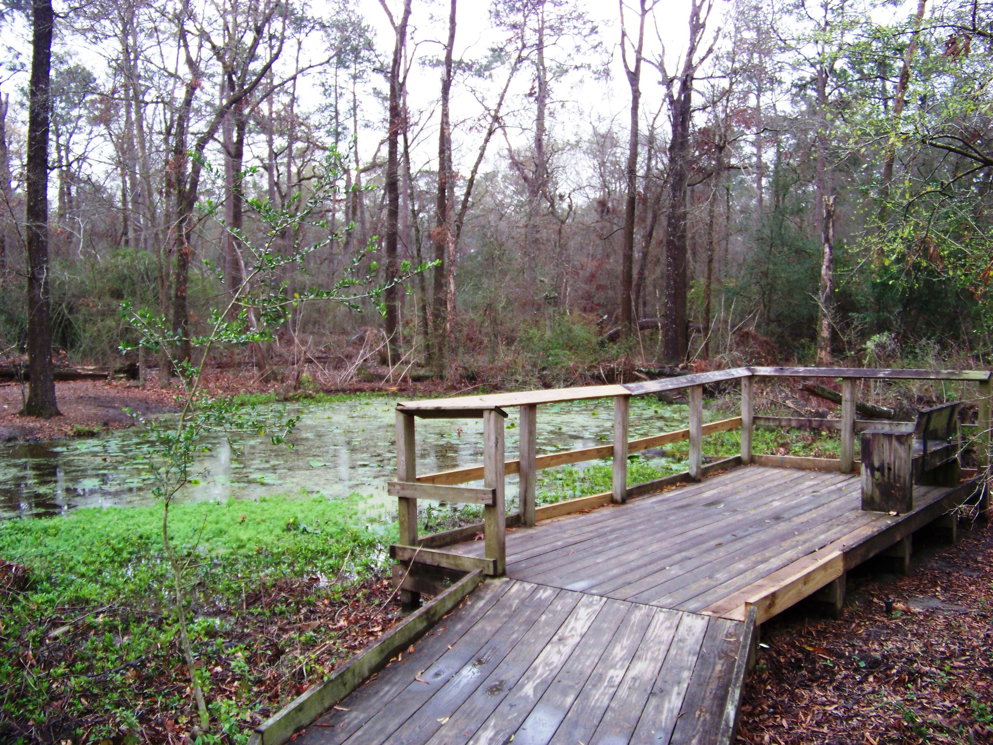 Houston_Arboretum_und_Naturzentrum_-_panoramio_-_Idawriter_(1)