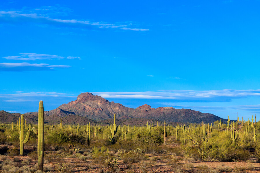 Wickenburg to Phoenix Shuttle AZ to / from PHX Airport Arizona